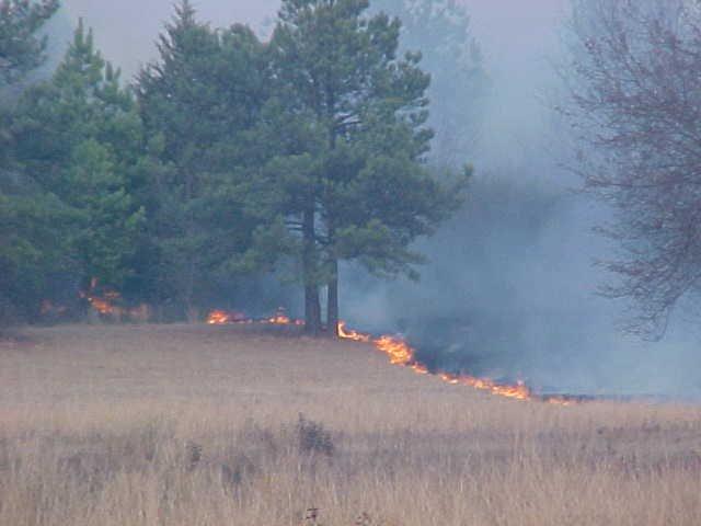 A fire draws the line between dried grass, and the ash it's leaving behind.